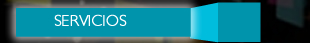 Servicios