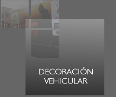 Decoración vehicular